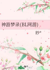 《神游梦录(BL网游)》