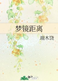《梦镜距离》