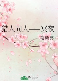 《猎人同人——冥夜》