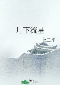 《月下流星》