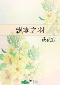 《飘零之羽》