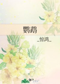 《鹦鹉》