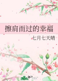 《擦肩而过的幸福》