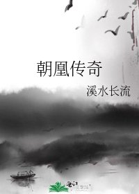 《朝凰传奇》