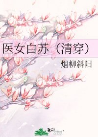 《医女白苏(清穿)》
