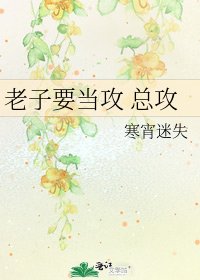 《老子要当攻 总攻》
