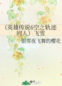 《(英雄传说6空之轨迹同人)飞雪》
