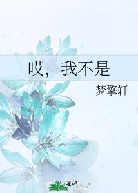 《哎,我不是》