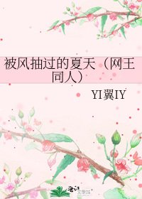 被风抽过的夏天（网王同人）