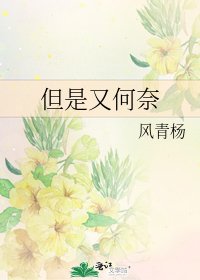 《但是又何奈》
