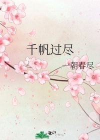 《千帆过尽》