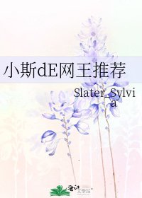 《小斯dE网王推荐》