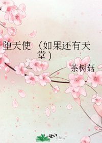 《堕天使 (如果还有天堂 )》