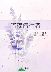 《暗夜潜行者》