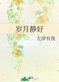 《岁月静好》