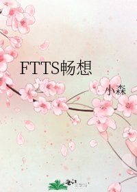 《FTTS畅想》