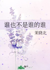 《谁也不是谁的谁》