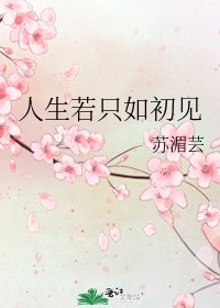 《人生若只如初见》