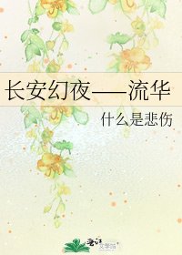 《长安幻夜——流华》