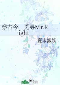 《穿古今,觅寻Mr.Right》