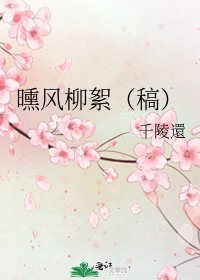 《曛风柳絮(稿)》