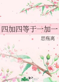 《四加四等于一加一》