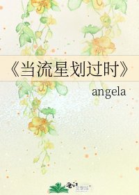 《当流星划过时》