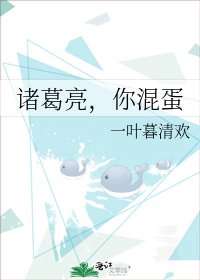 《诸葛亮,你混蛋》
