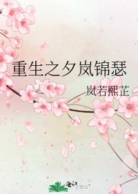 重生之夕岚锦瑟