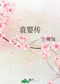 《袁婴传》