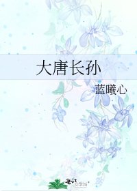 《大唐长孙》
