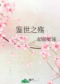 《鉴世之殇》