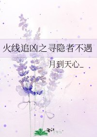 火线追凶之寻隐者不遇