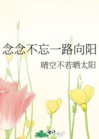 《念念不忘一路向阳》
