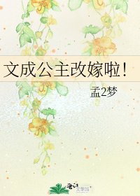 《文成公主改嫁啦!》