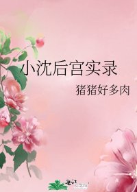 《小沈后宫实录》