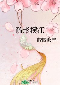 《疏影横江》