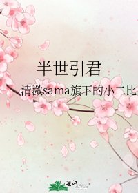 《半世引君》