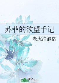 《苏菲的欲望手记》