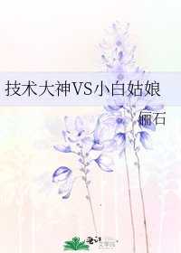 《技术大神VS小白姑娘》