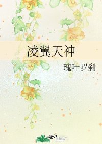 《凌翼天神》