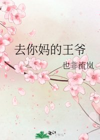 《去你妈的王爷》