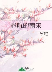 《赵航的南宋》