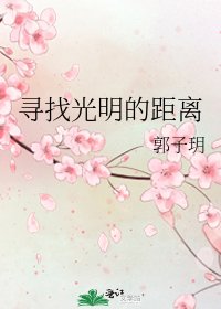 《寻找光明的距离》