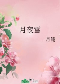 《月夜雪》
