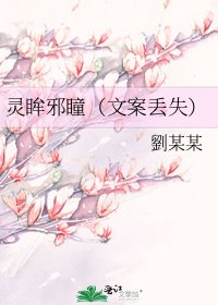 《灵眸邪瞳(文案丢失)》