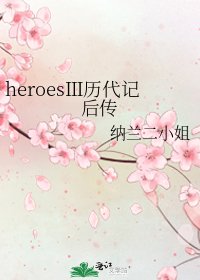 《heroesⅢ历代记后传》