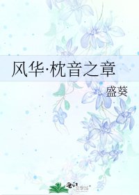 《风华·枕音之章》