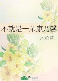 《不就是一朵康乃馨》
