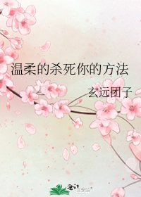 《温柔的杀死你的方法》